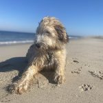 Sand, Wasser, Wind lieben wir